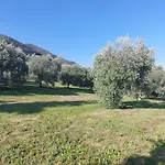 Apartment Scenic Sandrini *