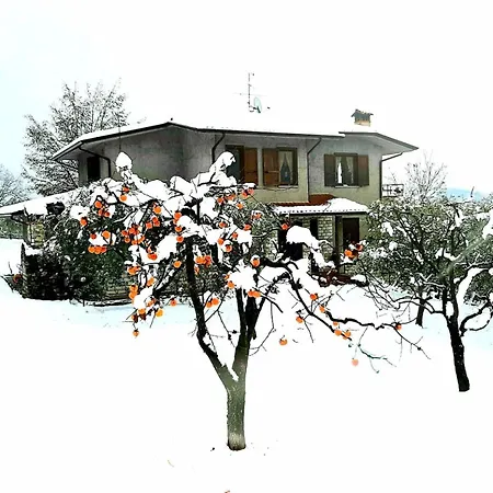 Scenic Sandrini Apartman *
