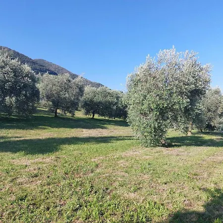 Apartman Scenic Sandrini *